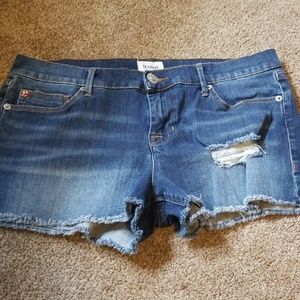 Hudson Amber raw shorts